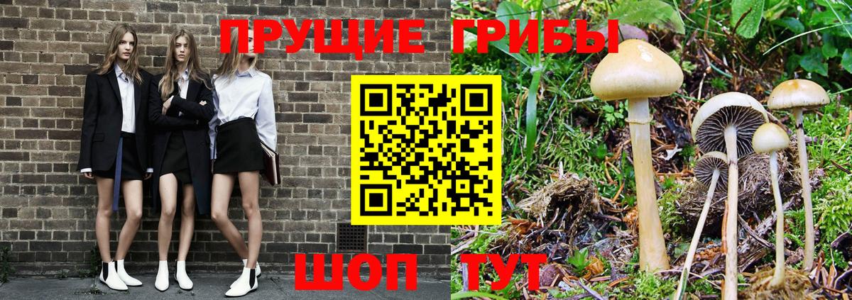Галлюциногенные грибы Psilocybine cubensis Миасс