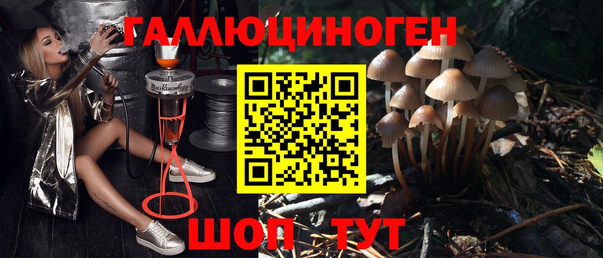 Псилоцибиновые грибы ЛСД  Псилоцибиновые грибы Cubensis  Миасс  Вход с VPN 